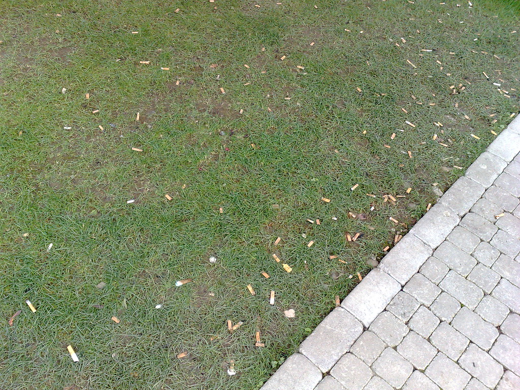 Illustrative garden setting