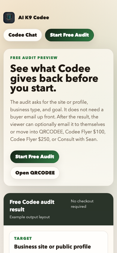 Example Codee audit report