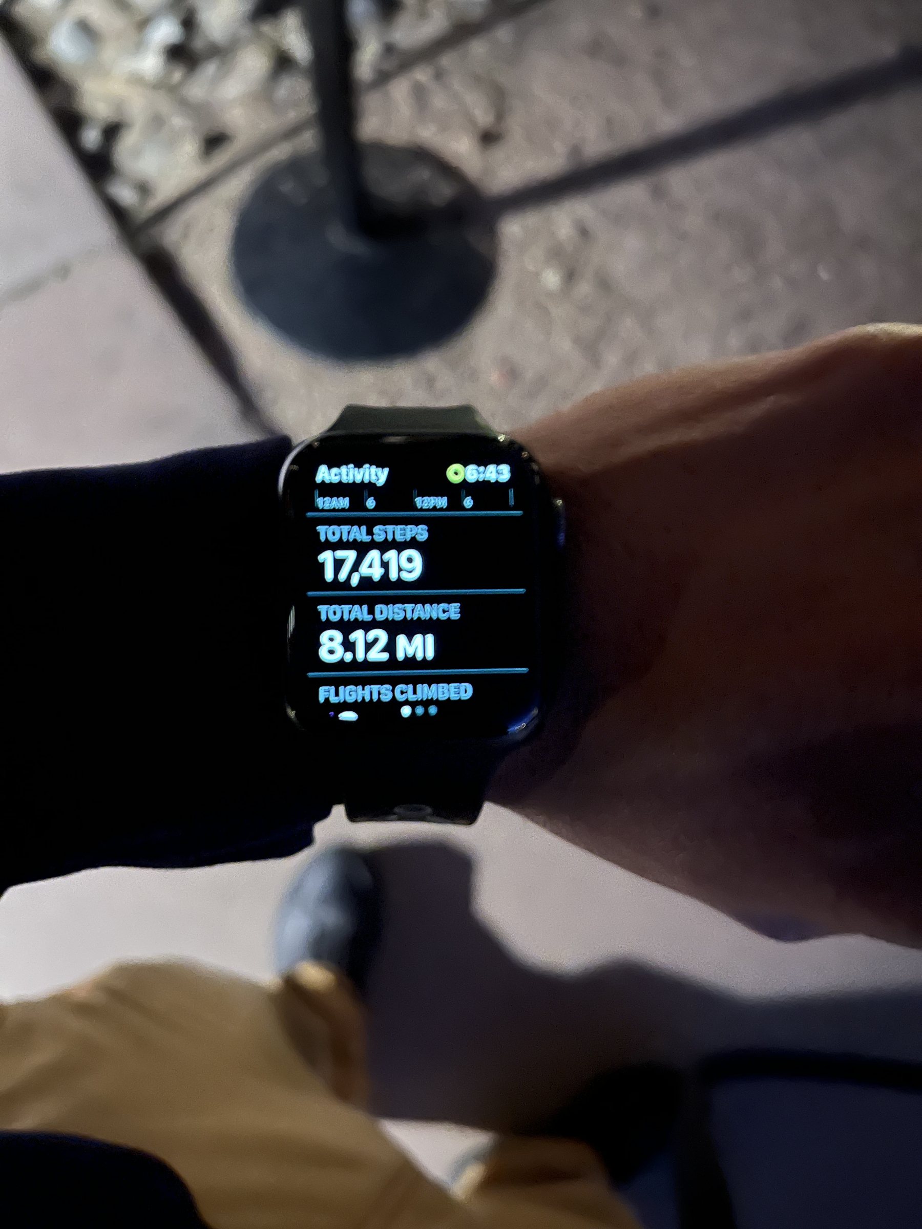 AI K9 K9 Fit performance watch detail